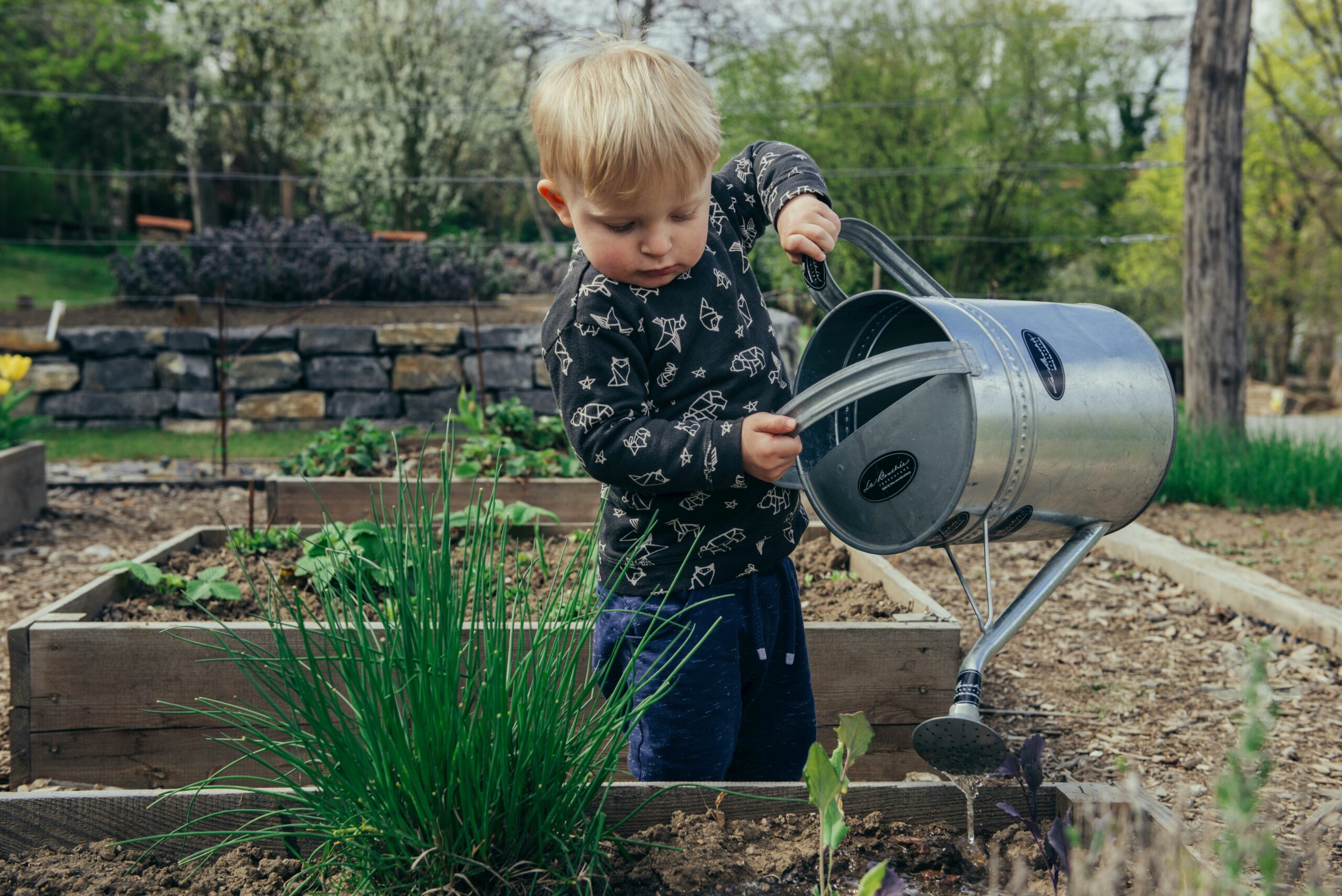 Gardening projects to enjoy with your kids