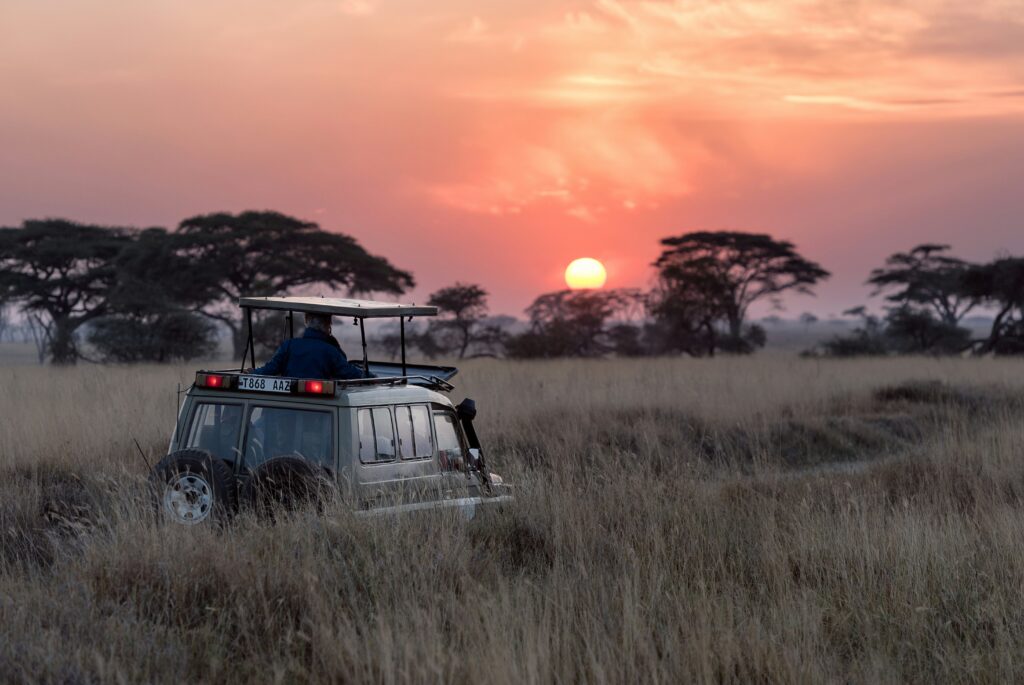 Getting ready for a sundowner during safari