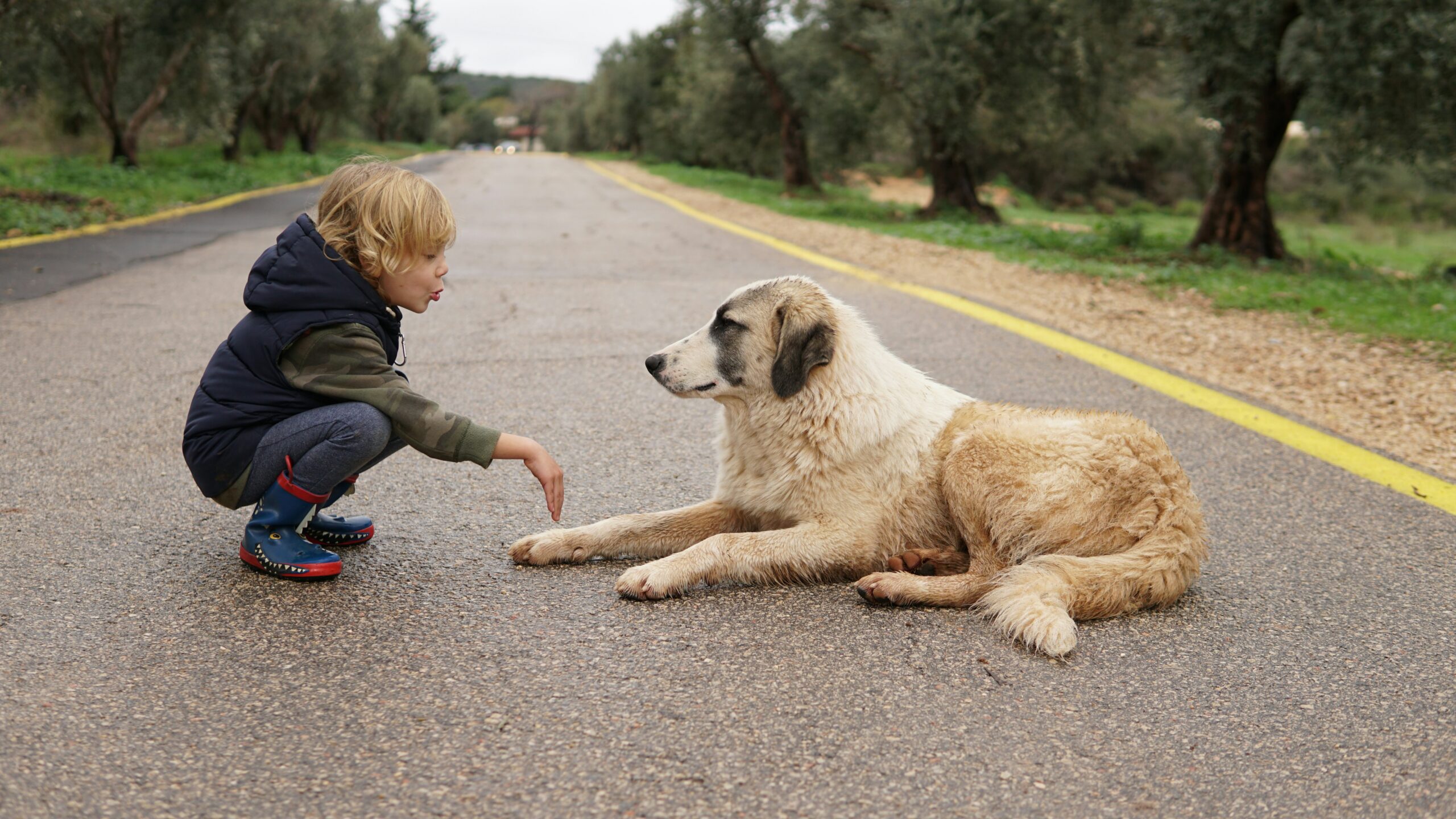 Teaching kids how to take care of animals